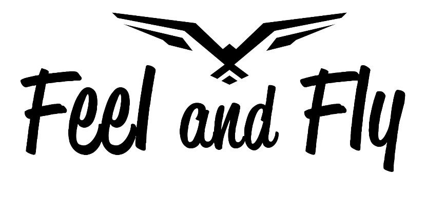 Feel and Fly logo